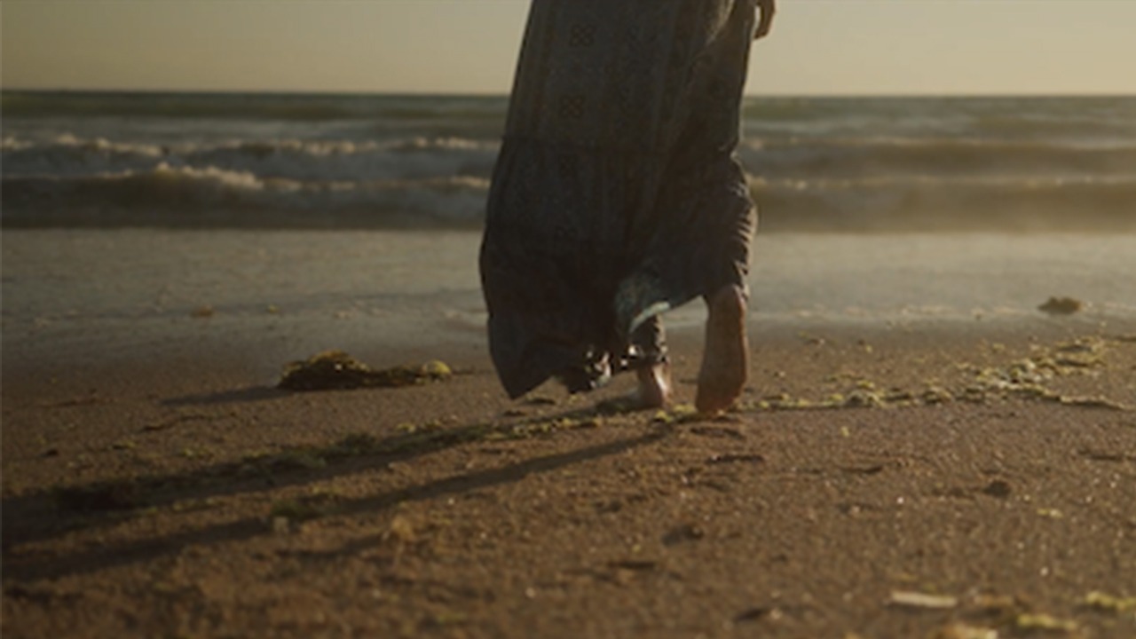 model reel beach sunset